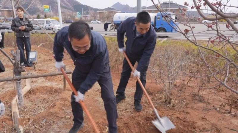 1776308514538354.jpg 9.jpg