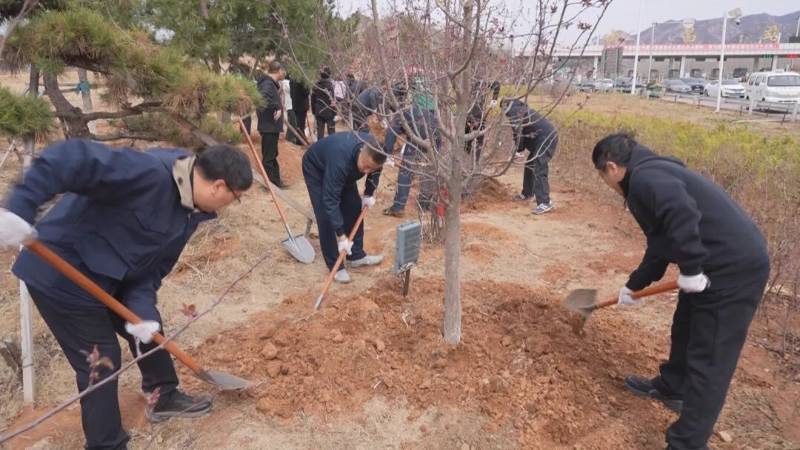 1776308529830295.jpg 11.jpg