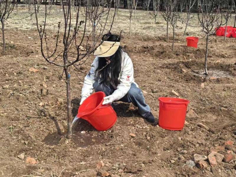 1776310099523277.jpg 17.jpg