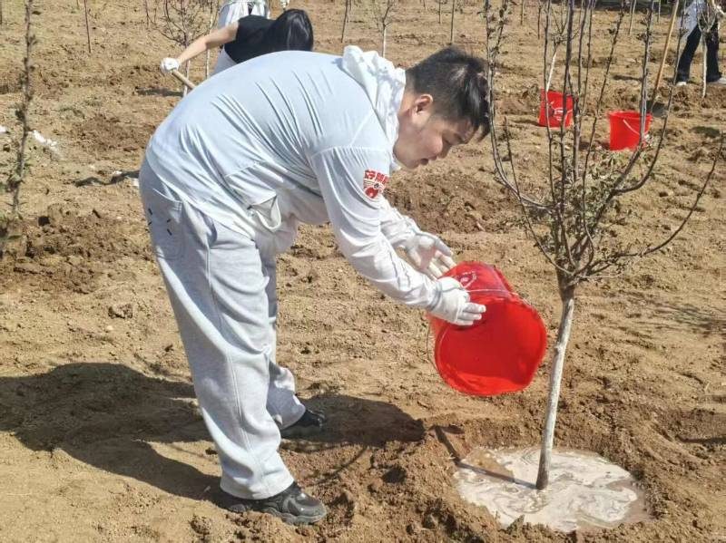 1776310110967950.jpg 18.jpg